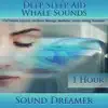 Sound Dreamer - Whale Sounds (Deep Sleep Aid) [For Tinnitus, Insomnia, De-Stress, Massage, Meditation, Holistic Healing, Relaxation] [1 Hour]